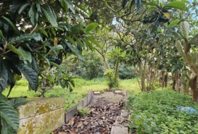 San Cristóbal de La Laguna 2535&nbsp;m² 