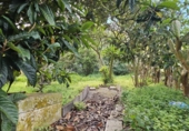 Sòl urbà en venda a la España, San Cristóbal de La Laguna, ref.: TR226039 foto