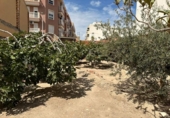 Casa de camp amb terreny en venda a la España, Elx, ref.: TR167605 foto