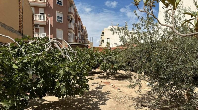 Alicante - Elche - 646m2