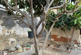 Foto 10