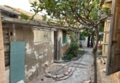 Casa de camp amb terreny en venda a la España, Elx, ref.: TR167605 foto