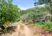 Casa de camp amb terreny en venda a la España, Xaló, ref.: TR303839 foto