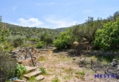 Casa de camp amb terreny en venda a la España, Xaló, ref.: TR303839 foto