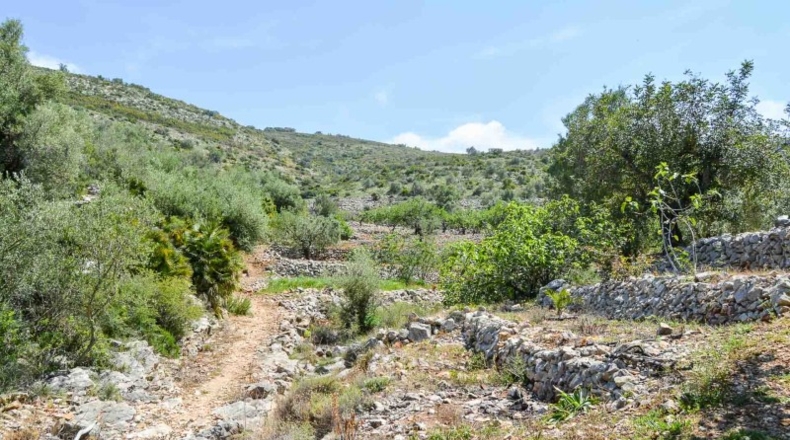 Alicante - Халон - 499685m2