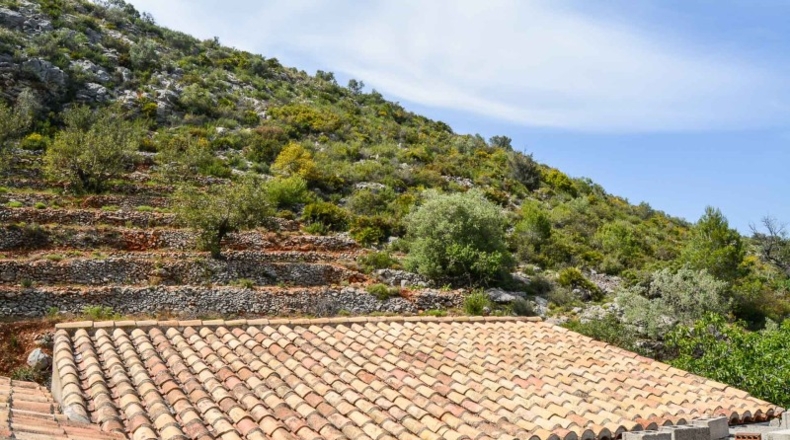 Alicante - Халон - 499685m2