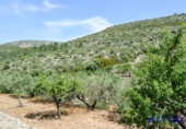 Casa de camp amb terreny en venda a la España, Xaló, ref.: TR303839 foto