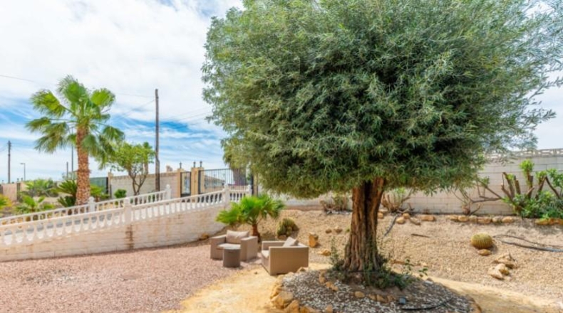 Alicante - Muchamiel - 1255m2