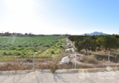 Casa de campo con terreno en venta en la España, Dolores, ref: TR377461 foto