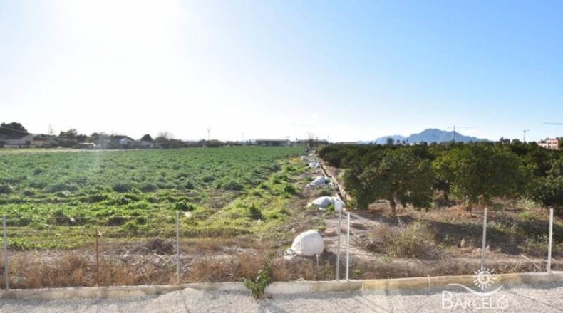 Alicante - Dolores - 3050m2