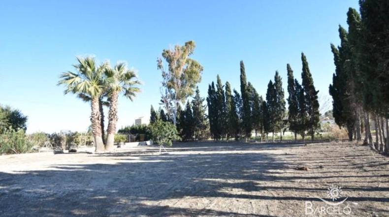 Alicante - Dolores - 3050m2