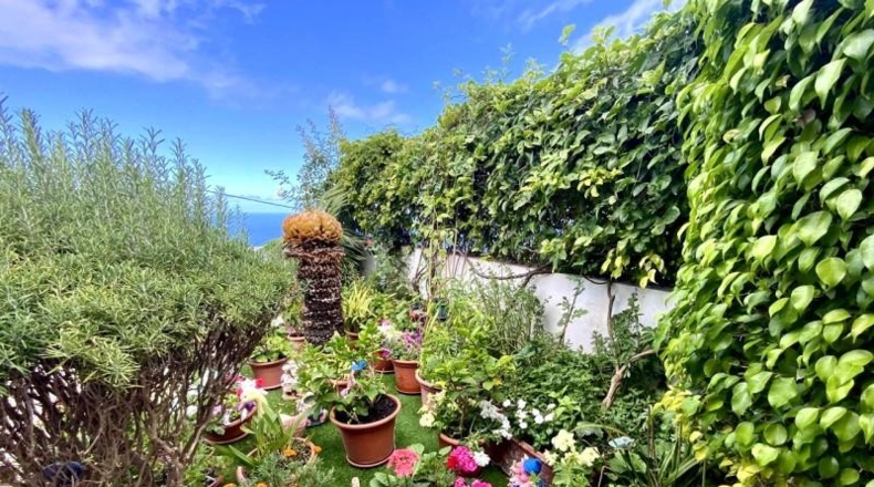 Santa Creu de Tenerife - Santa Úrsula - 246m2