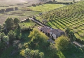 Finca rústica en venta en la España, Petra, ref: TR341090 foto