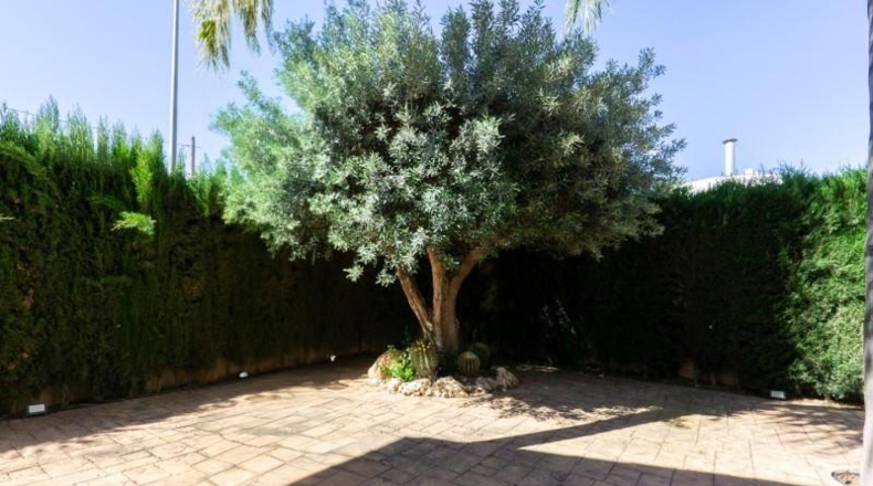 Alicante - Cox - 635m2