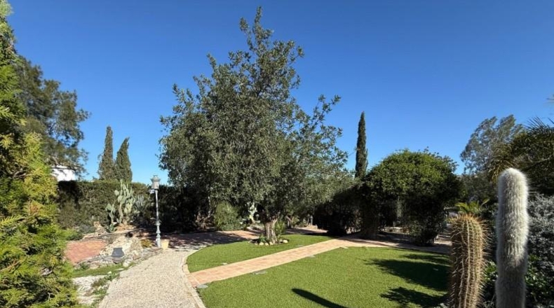 Murcia - Molina de Segura - 2200m2