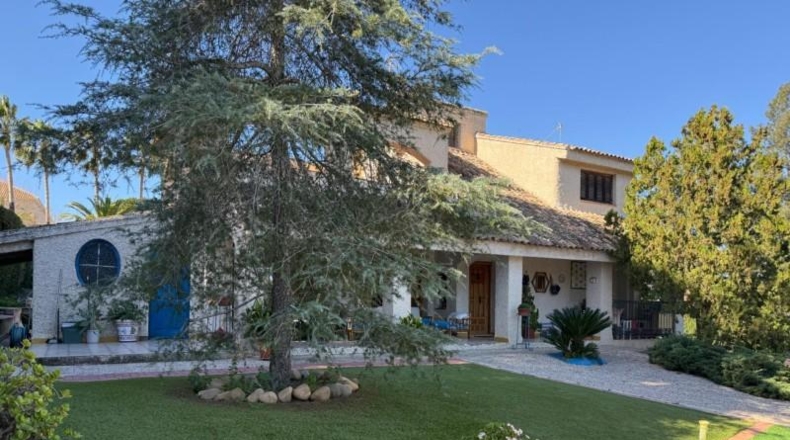 Murcia - Molina de Segura - 2200m2