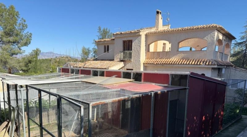 Murcia - Molina de Segura - 2200m2