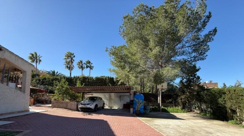Murcia - Molina de Segura - 2200m2