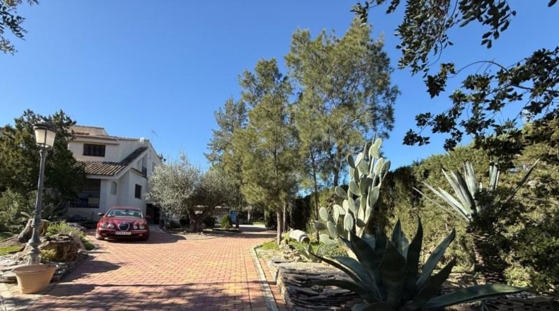 Murcia - Molina de Segura - 2200m2