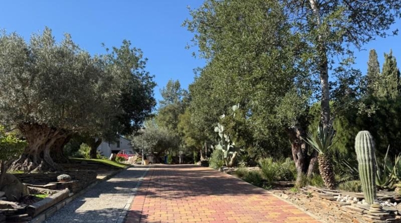 Murcia - Molina de Segura - 2200m2