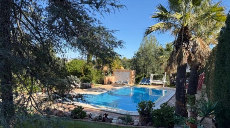 Murcia - Molina de Segura - 2200m2