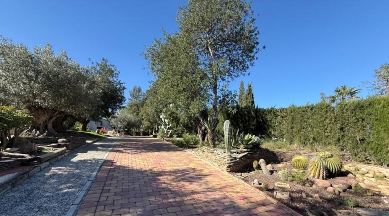 Murcia - Molina de Segura - 2200m2