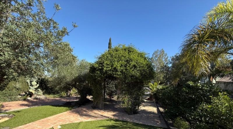 Murcia - Molina de Segura - 2200m2