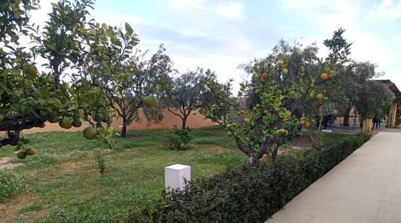 Alicante - Sant Vicent del Raspeig - 2000m2