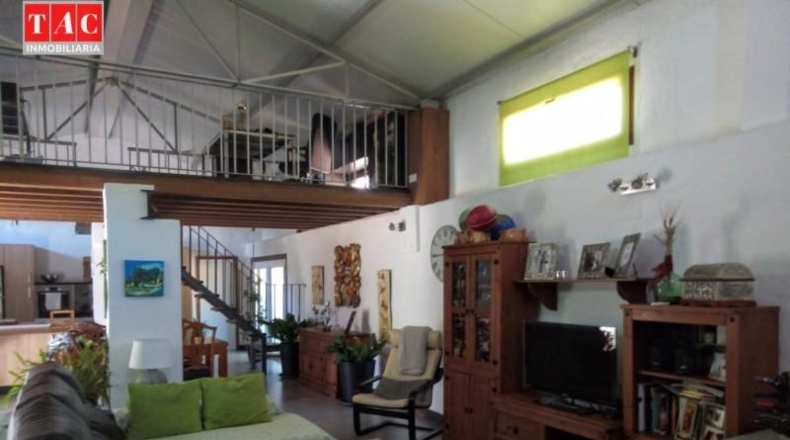 Huelva - Ayamonte - 25000m2