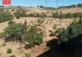 Отдельно стоящий дом с участком на продажу в городе Ayamonte Фото
