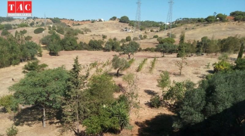 Huelva - Ayamonte - 25000m2
