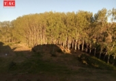 Отдельно стоящий дом с участком на продажу в городе Ayamonte Фото