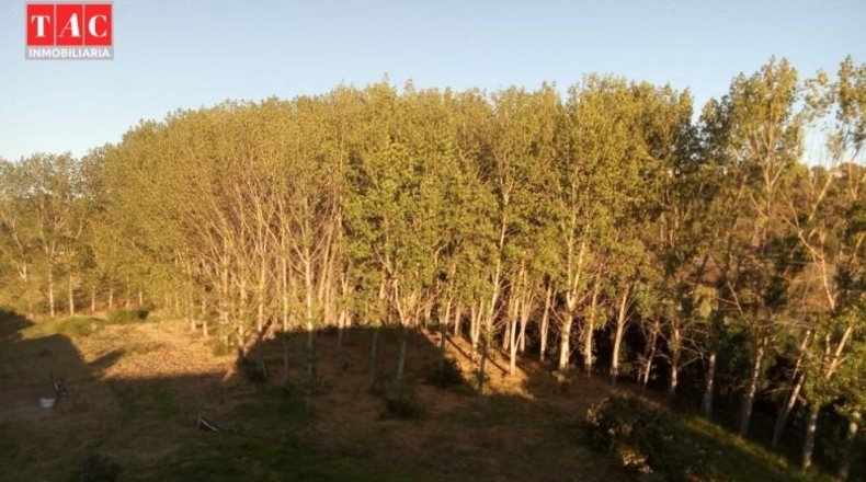 Huelva - Ayamonte - 25000m2