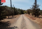 Отдельно стоящий дом с участком на продажу в городе Ayamonte Фото