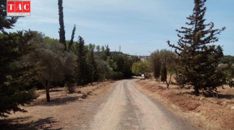 Huelva - Ayamonte - 25000m2