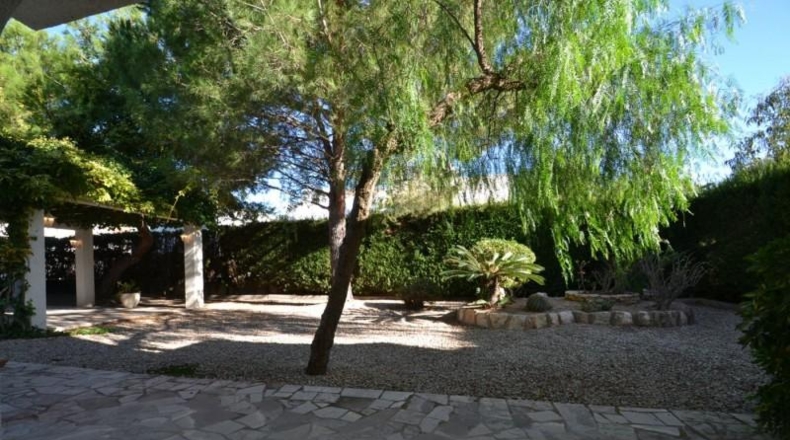 Tarragona - Deltebre - 1000m2