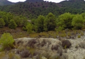 Terreny no urbanitzable en venda a la España, Lorca, ref.: TR115928 foto