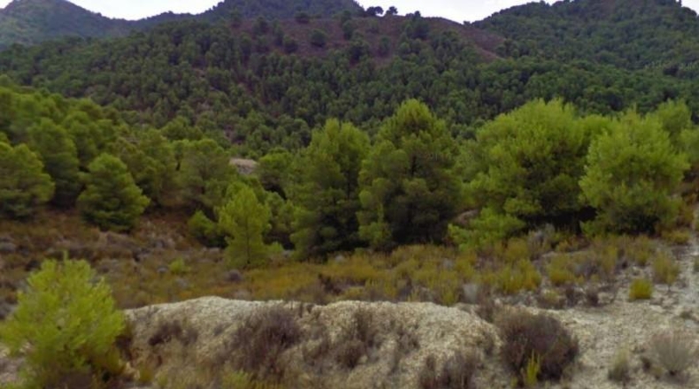 Múrcia - Lorca - 530000m2