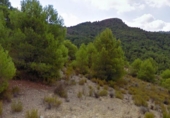 Terreny no urbanitzable en venda a la España, Lorca, ref.: TR115928 foto