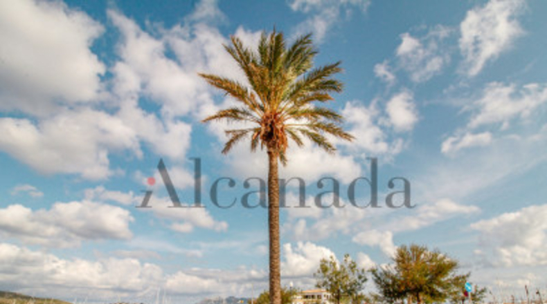 Balearic Islands - Pollensa - 213m2