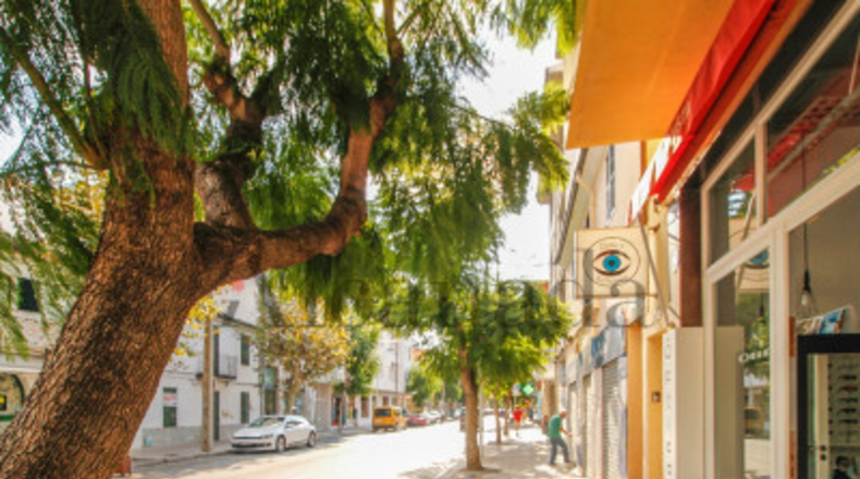 Balearic Islands - Pollensa - 213m2