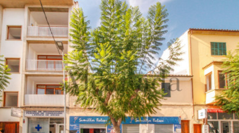 Balearic Islands - Pollensa - 213m2