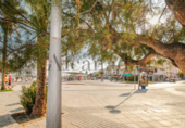Urban land for sale on España, Puerto de Pollensa, ref: TR113136 photo