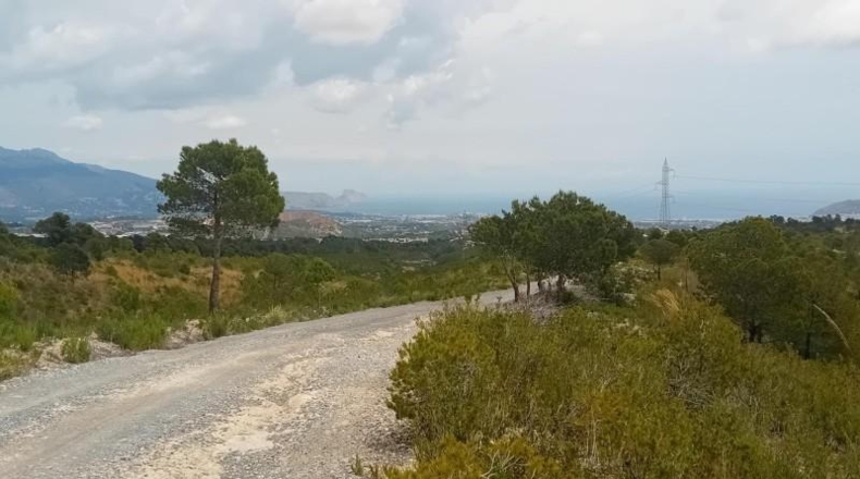 Alicante - La Nucía - 43450m2