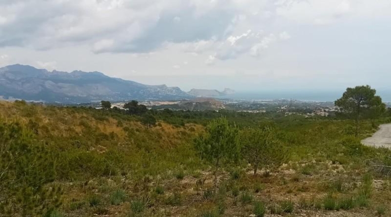 Alicante - La Nucía - 43450m2