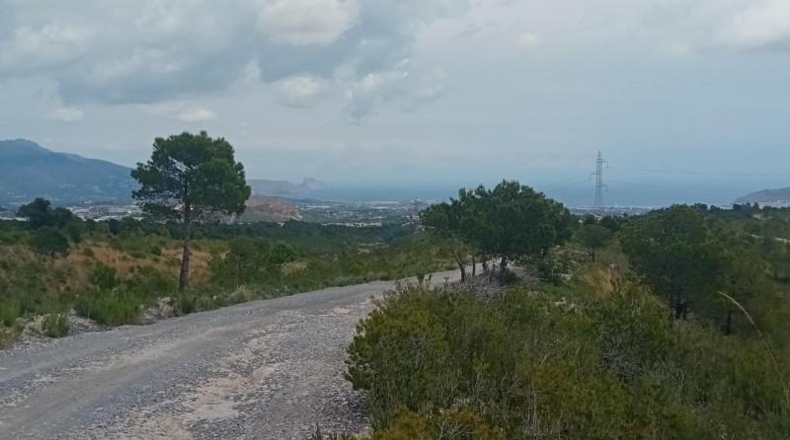 Alicante - La Nucía - 43450m2