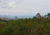 Non-developable land for sale on España, La Nucia, ref: TR244366 photo