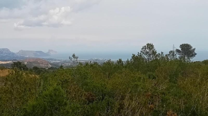 Alicante - La Nucía - 43450m2