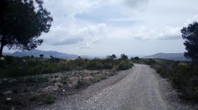 Alicante - La Nucía - 43450m2