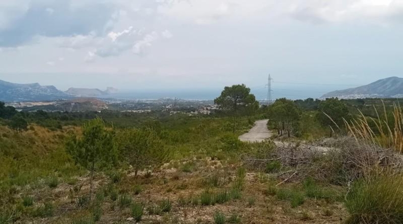 Alicante - La Nucía - 43450m2